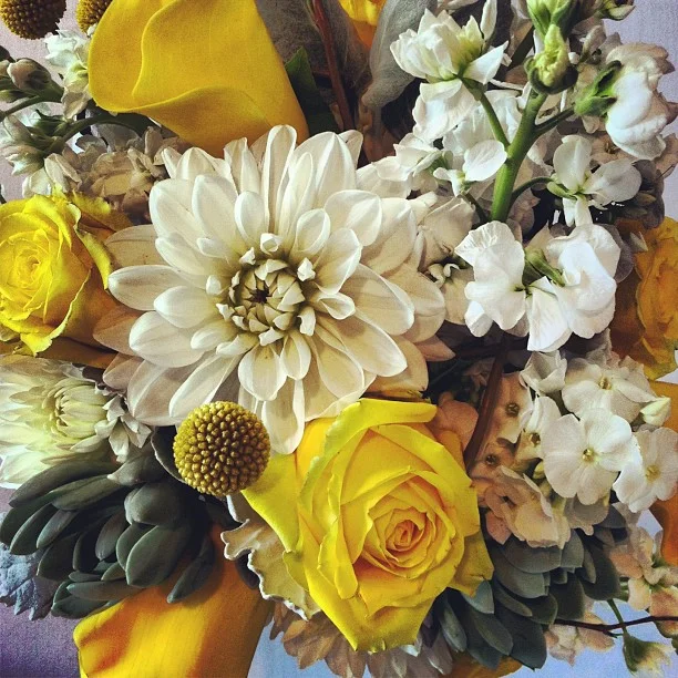 Stephanie's Bouquet // White dahlias, Stock, Dusty Miller, Roses and Calla Lilies. #breckweddings #breckbecause
