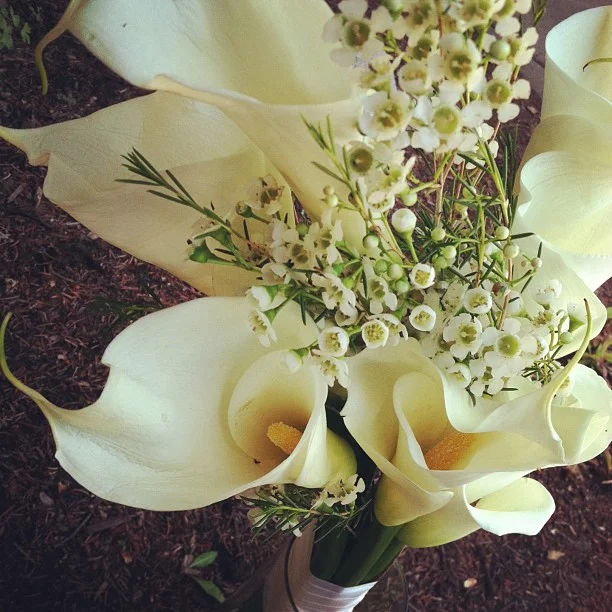 Sara's Bouquet // #Vail #VailValley #vailvalleysummer