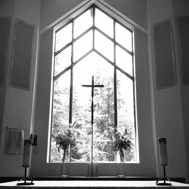 I like the trees out the window here.