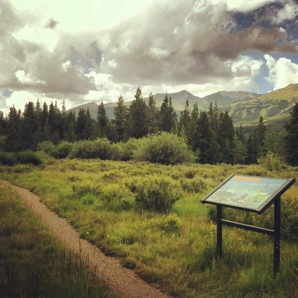If you're in town for #breckbikeweek, hit up the flumes. // #colorado #mountainbiking