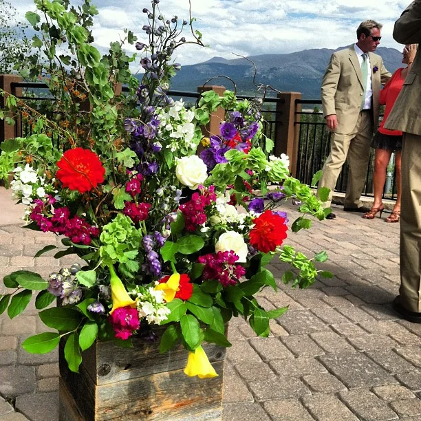Ceremony decor in place and ready!