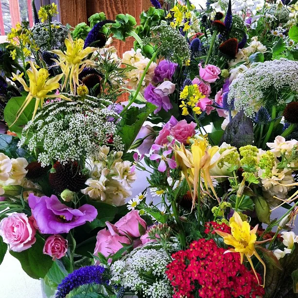 Reception decor for a wedding in Leadville include some of our yellow Columbine.