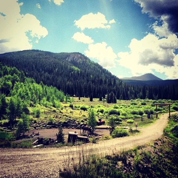 Soon this Aspen grove will be going off.