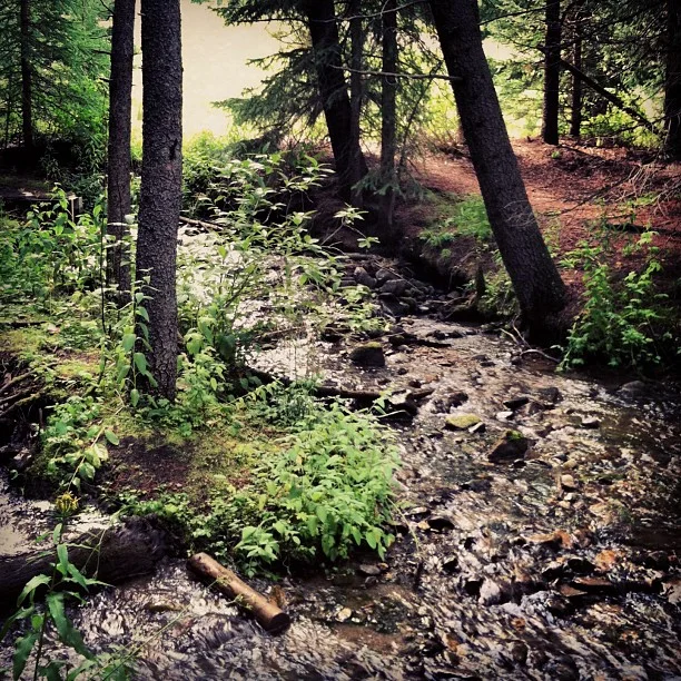 Wedding photographers shooting near @beaverrun go here. // #creek