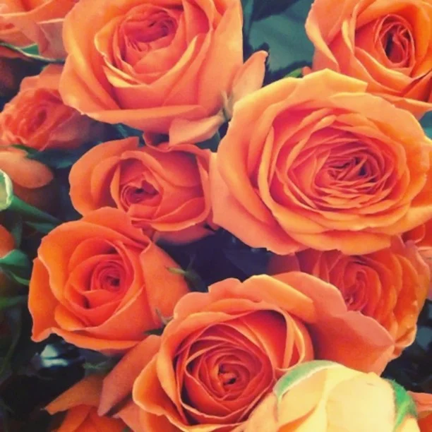 The shop is filled with flowers for almost all the weddings this weekend! Can you smell them?