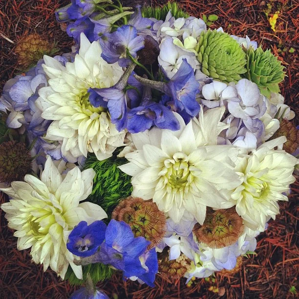 Abby's Bouquet // Blue, white and greens in this bridal bouquet.