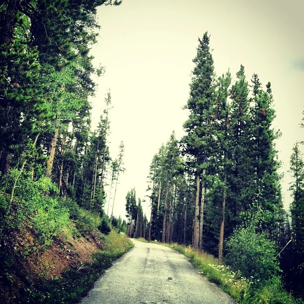 Driveway to a private home rental that was used for a wedding this last weekend. They just checked out and I'm up grabbing their rental glassware and containers. // #breckenridge #wedding #breckwedding