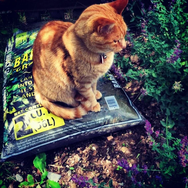 He said he would weigh down this bag in case any wind comes through.