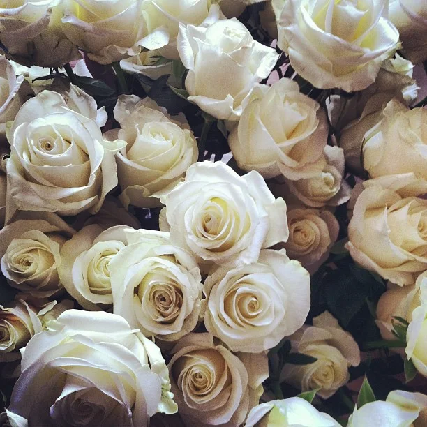 Roses being used this weekend. // #Breckenridge #florist . #breckbecause