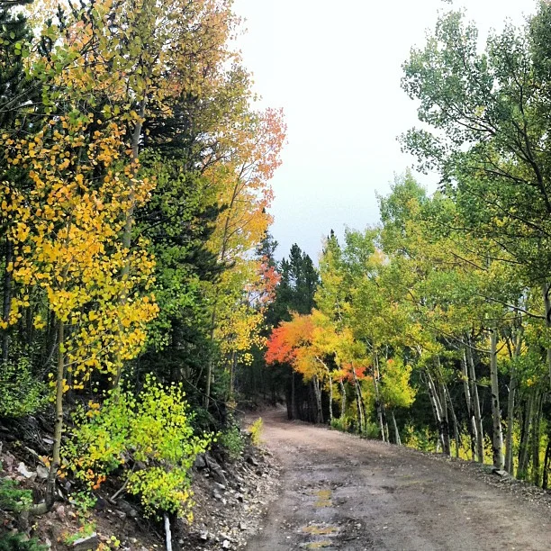 The upper road now has a single track that parallels it, Western Sky. Another nearby trail, Slalom, connects with the upper flume.