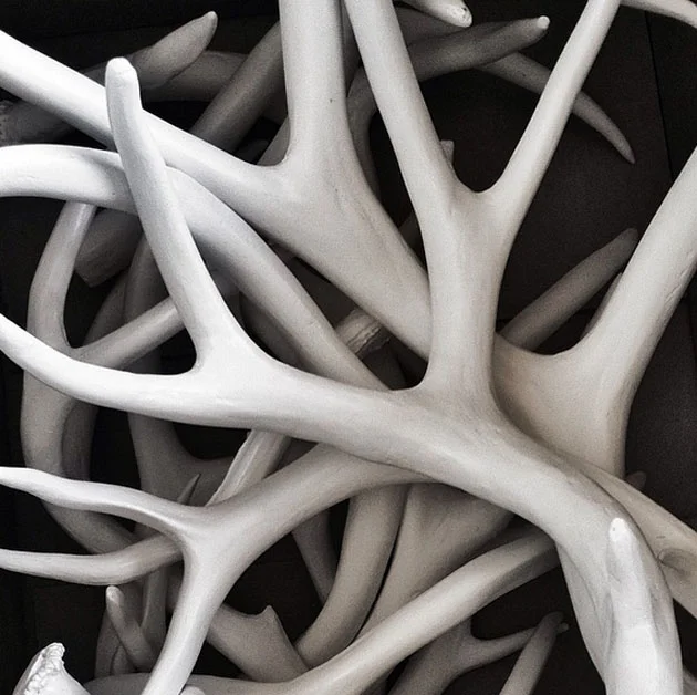 Details for a Wedding at the Bluesky Breckenridge Resort