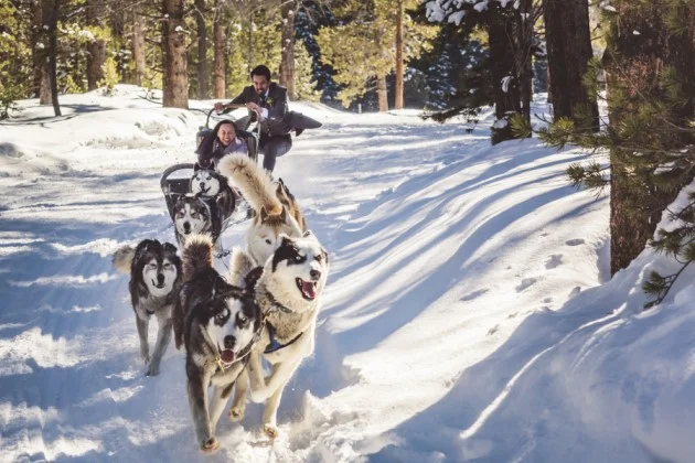 Tuyen + Simon: Dog Sledding Elopement in Breckenridge, Colorado