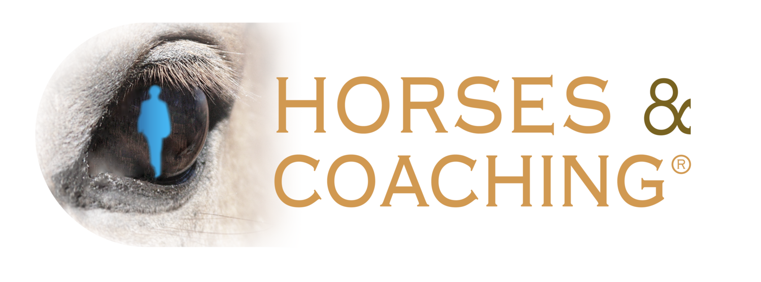 Horses and Coaching