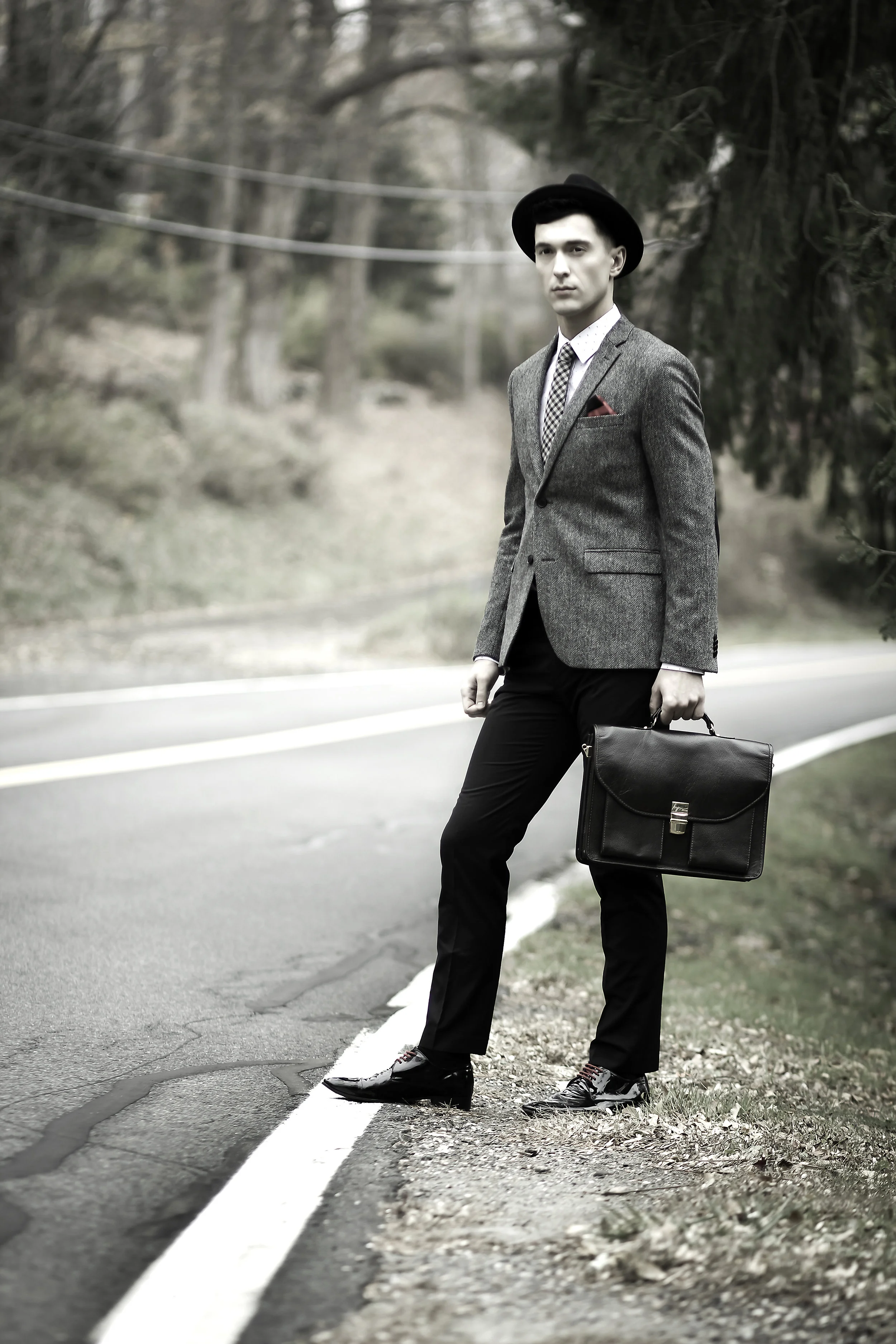 Americana Autumn 2.jpg