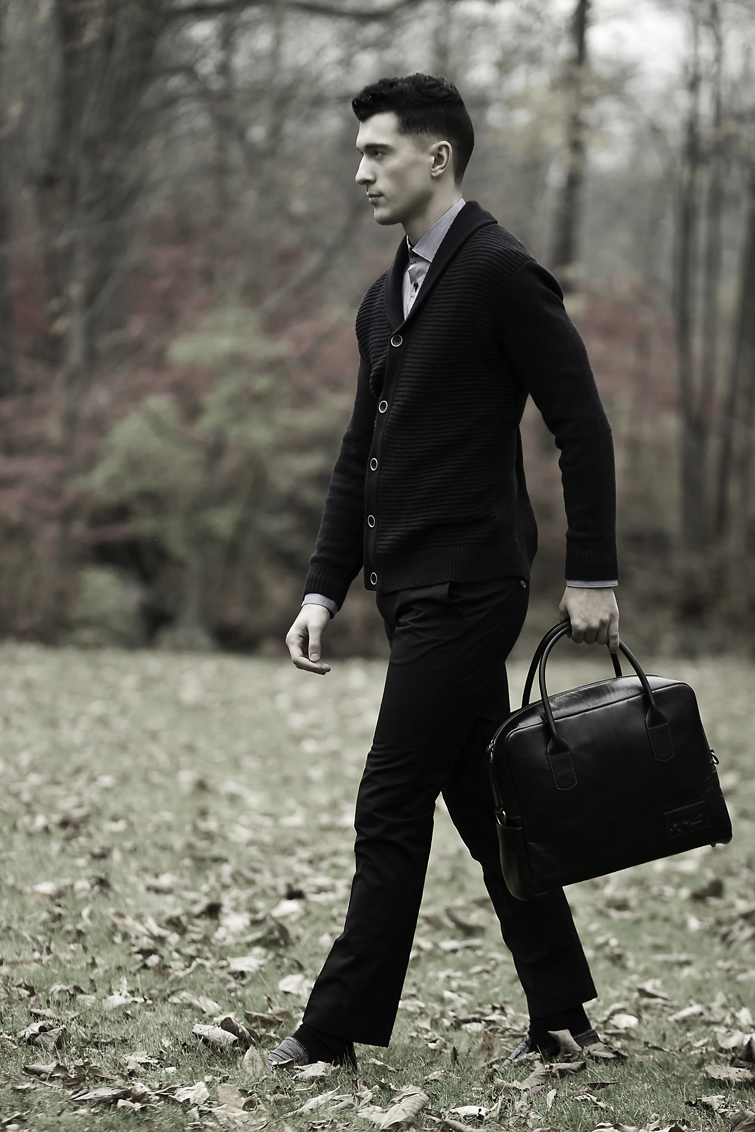 Americana Autumn 4.jpg
