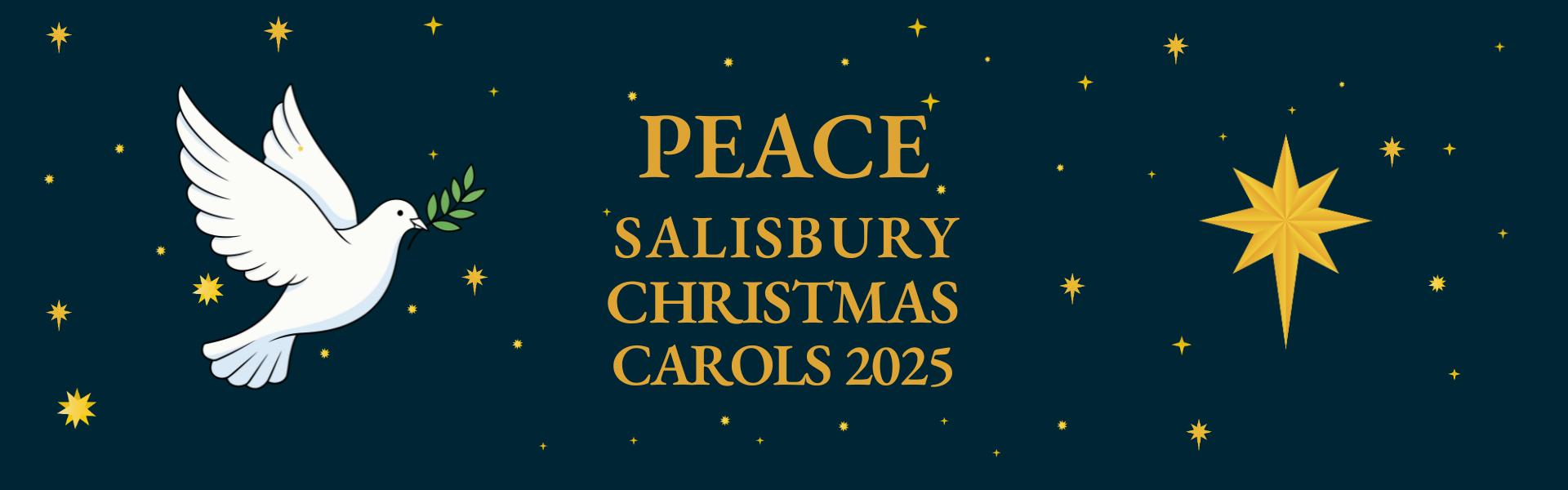Salisbury Carols - Web Banner (1920 x 600 px) (1).png