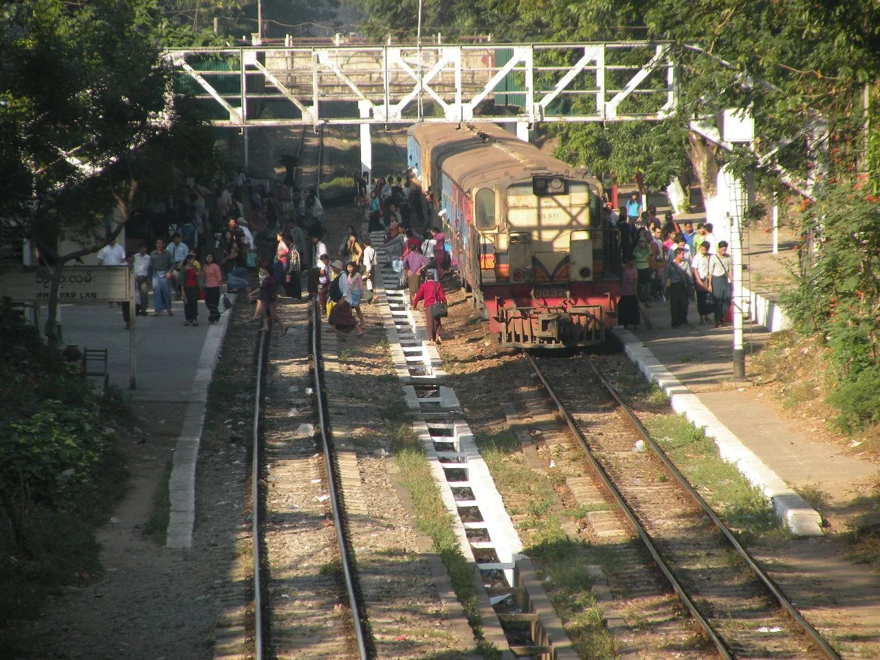 DSCN9264.jpg