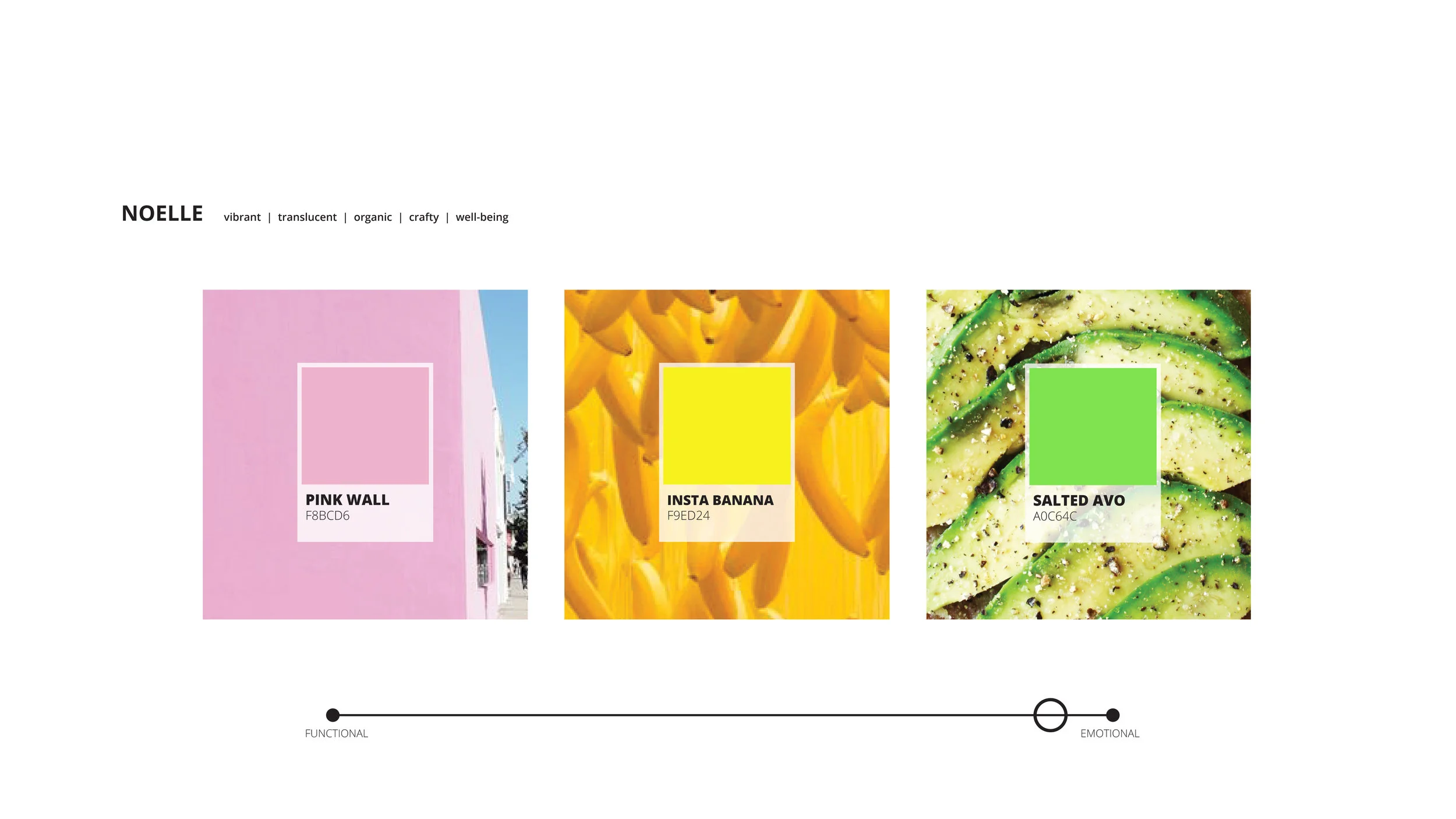 CMF website 2-21.jpg