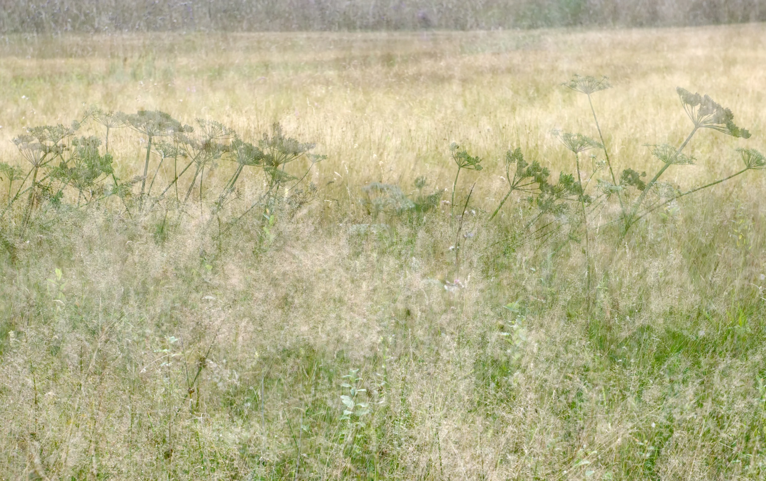 GABRIELLE_VAN_DER_WERF_Landscapes_landscape1_CROPPED.jpg