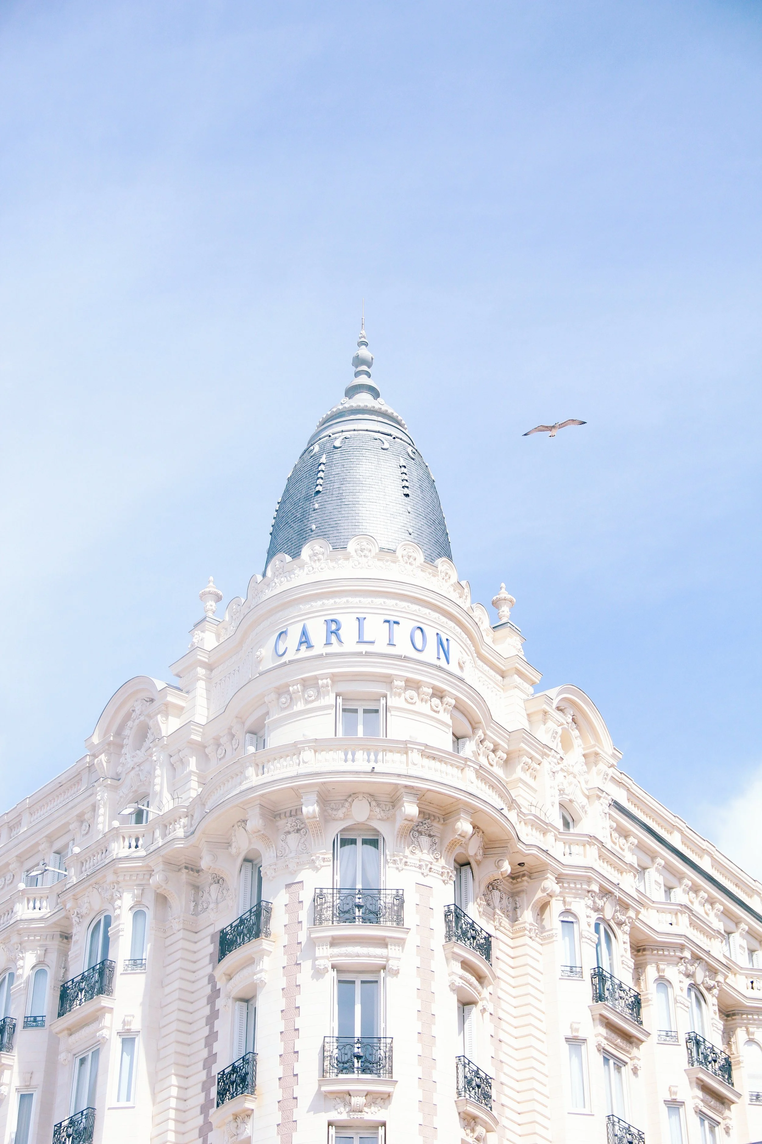 the carlton at cannes
