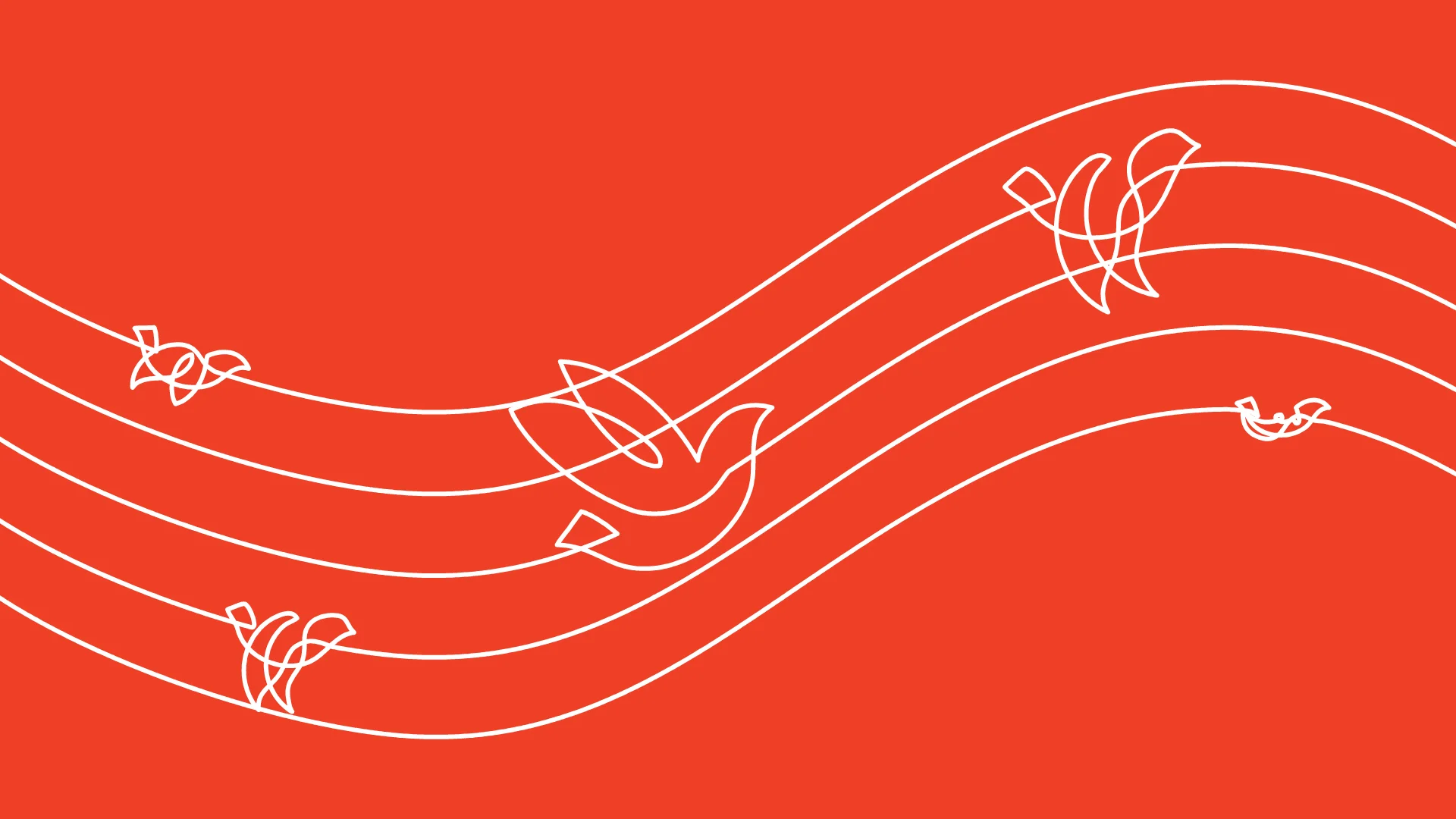 Scouts - Better Futures---Young-Illustration-&-Animation-Studio-Manchester-2D,3D, Live Action - Vector, birds, flock - ANIMATION.jpg