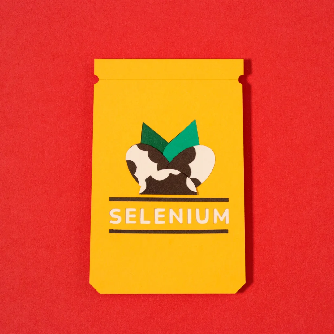 Scouts-mood-food---young-illustration-and-animation,-paper-craft-stop-motion,mood,selenium,-brazil-nuts,-pack-of-nuts_00601.jpg