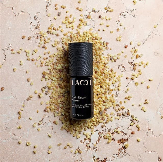 Capture d’écran 2021-04-03 à 10.52.25.png