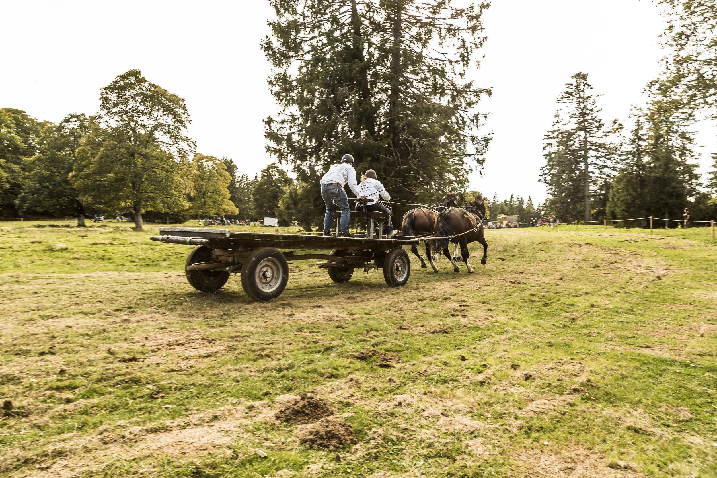 190929 Journee Equesteter0024.jpg