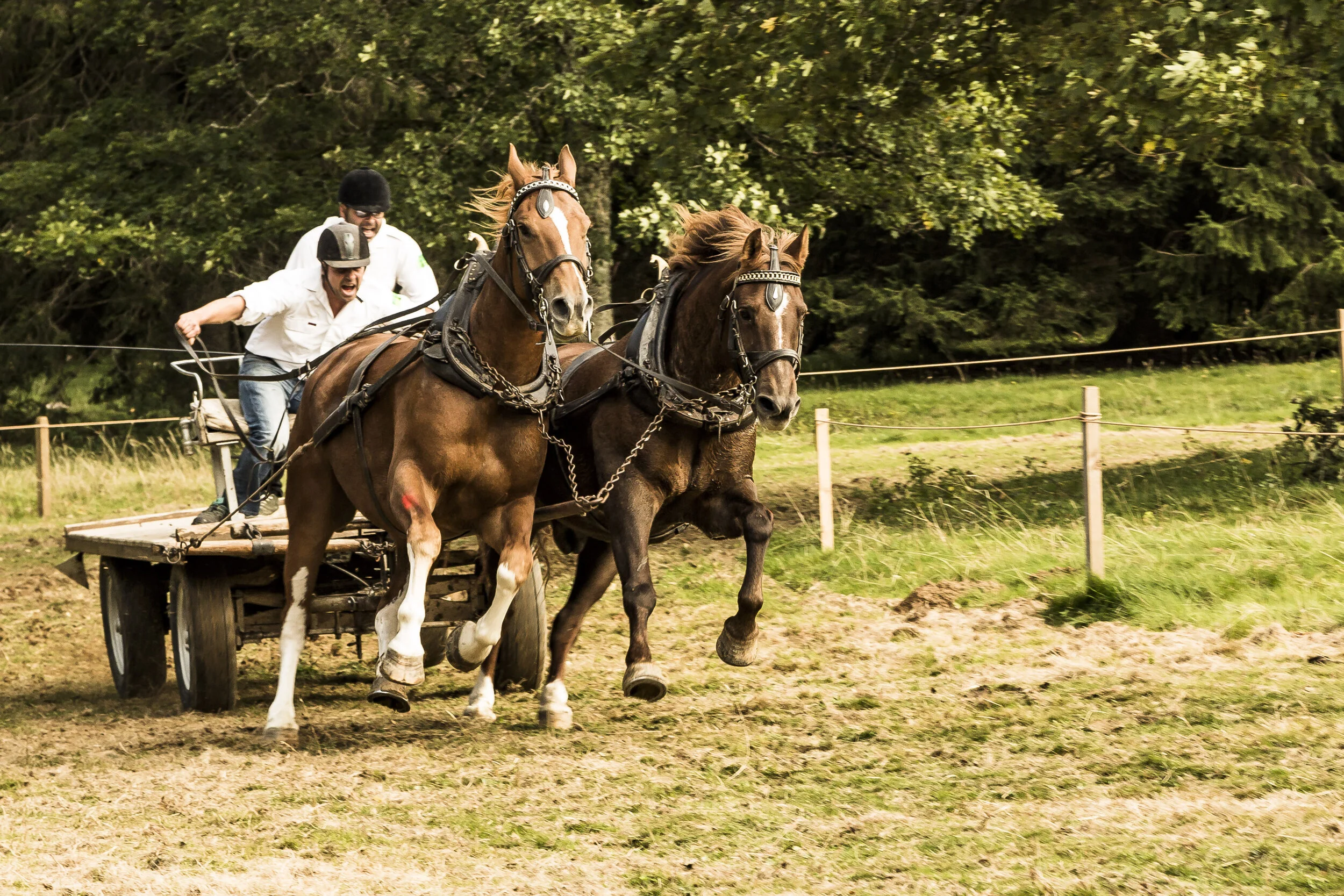 190929 Journee Equesteter0025.jpg