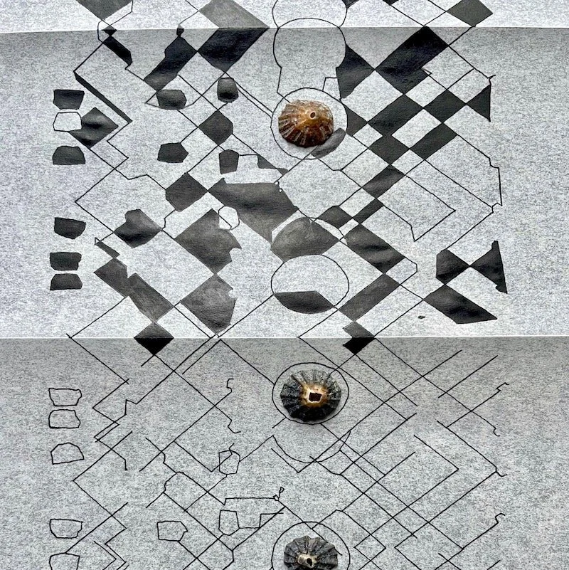 Shell guides drawing 3 WEB.jpg