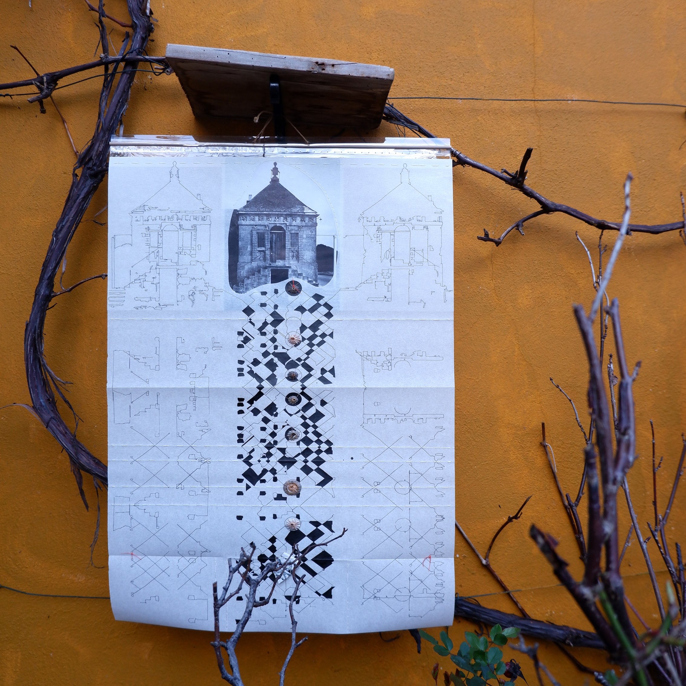 Fish Inn drawing garden 1 WEB.jpg