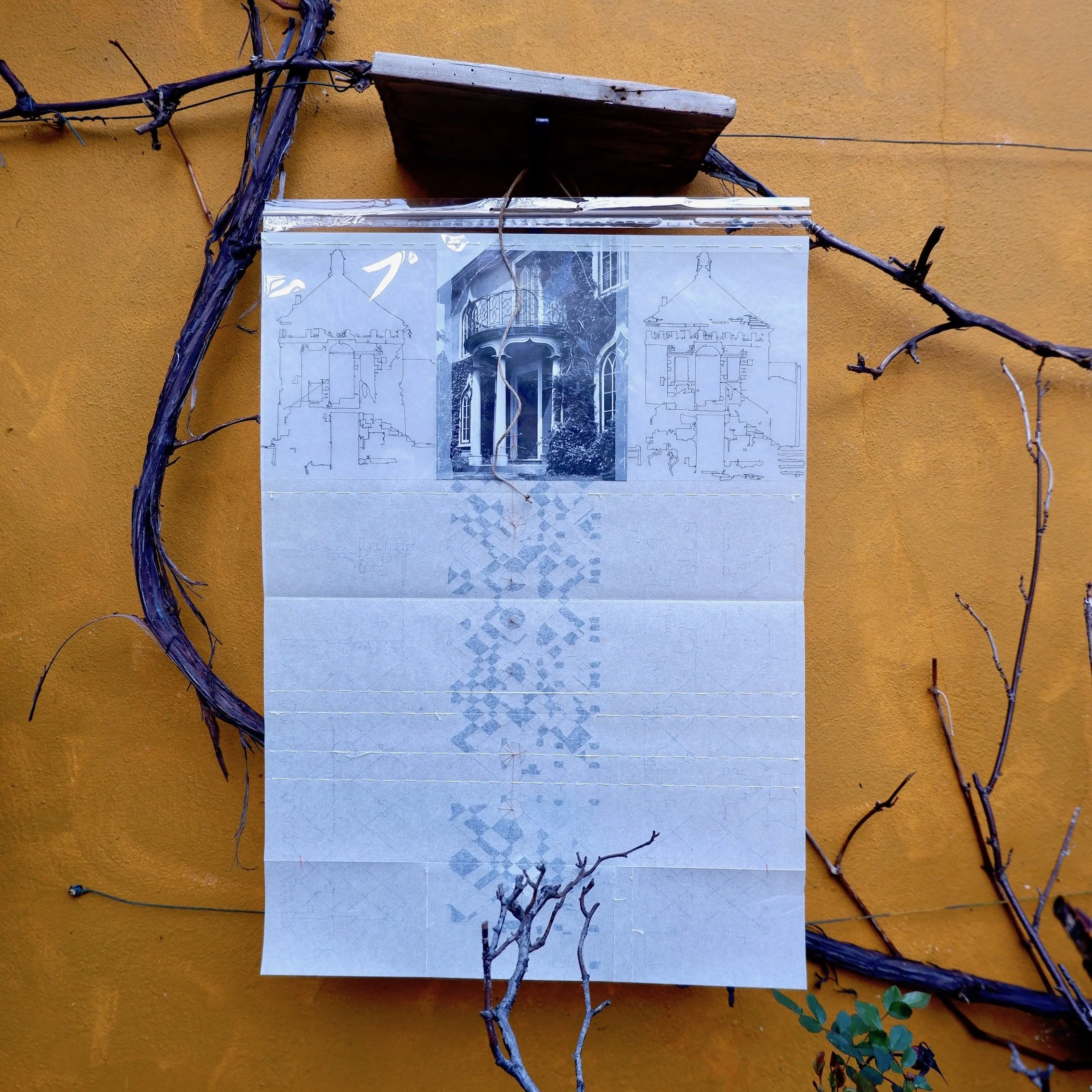 Fish Inn drawing garden 6 WEB.jpg