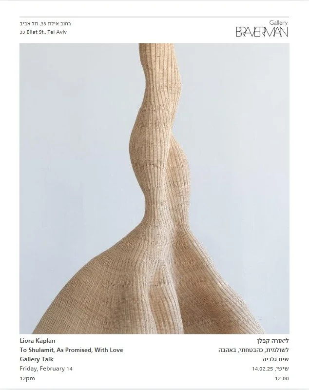 gallery talk_braverman gallery.jpeg