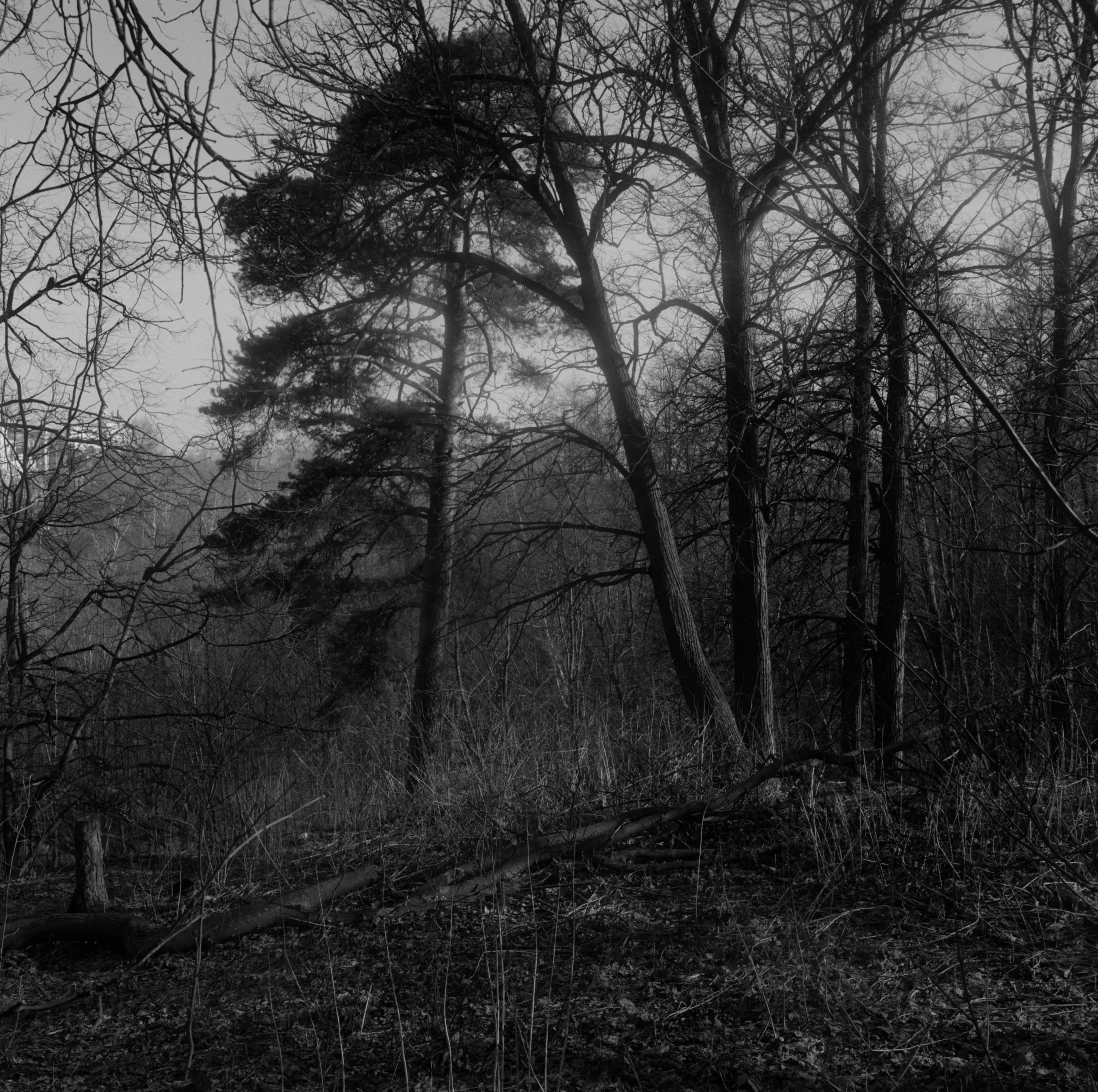 AW_Landschap_HD_2893.jpg
