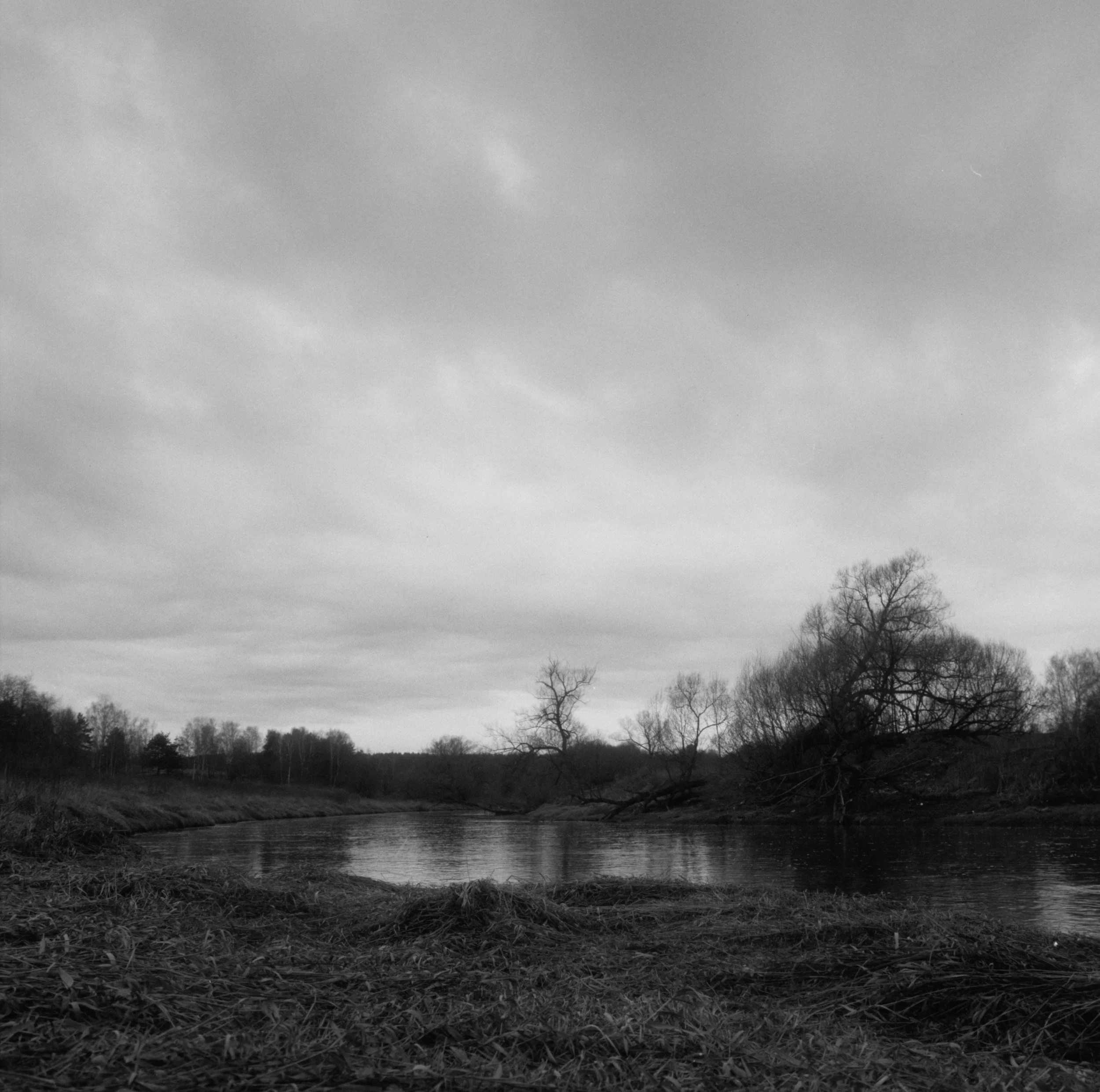 AW_Landschap_HD_2905.jpg