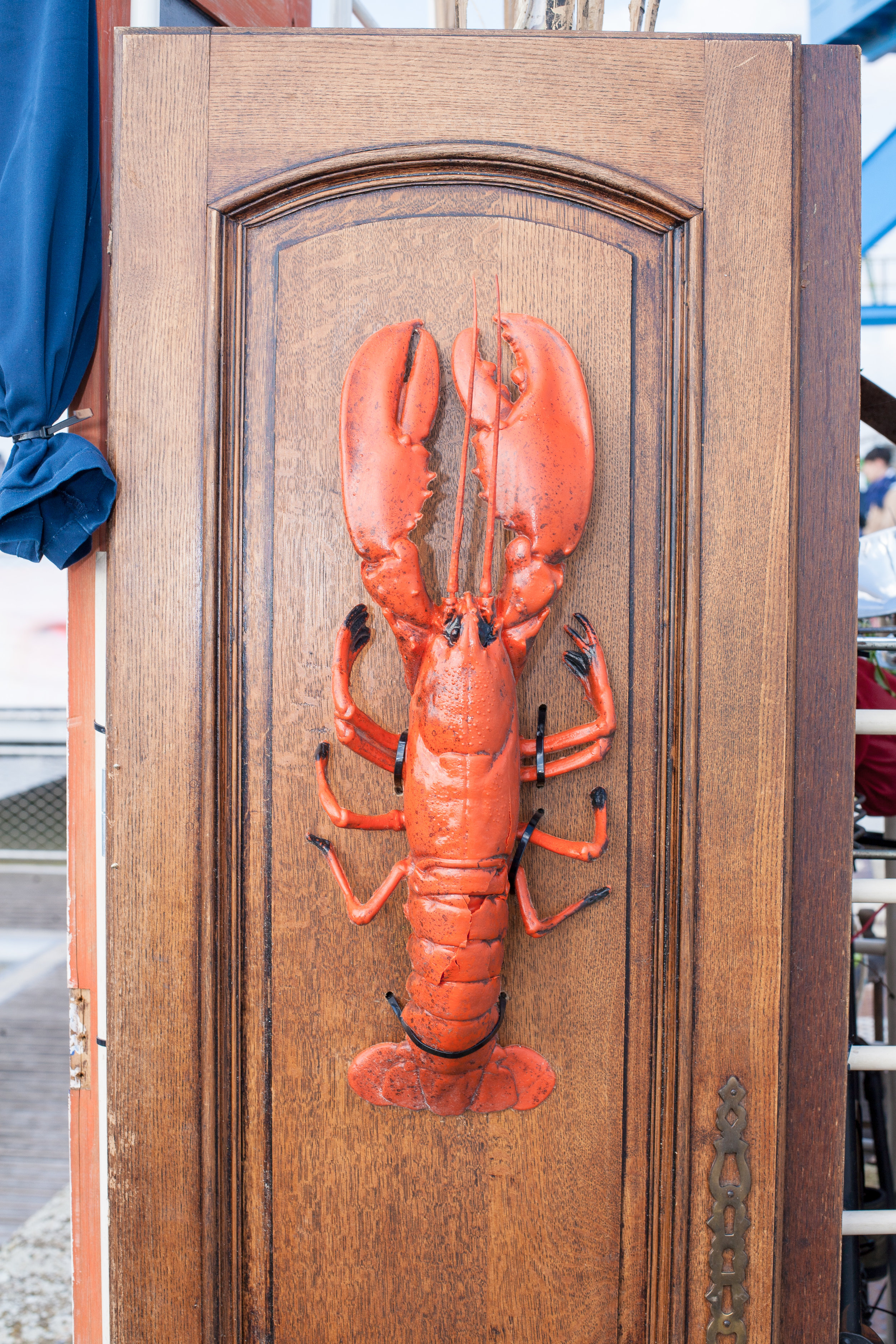 Old lobster