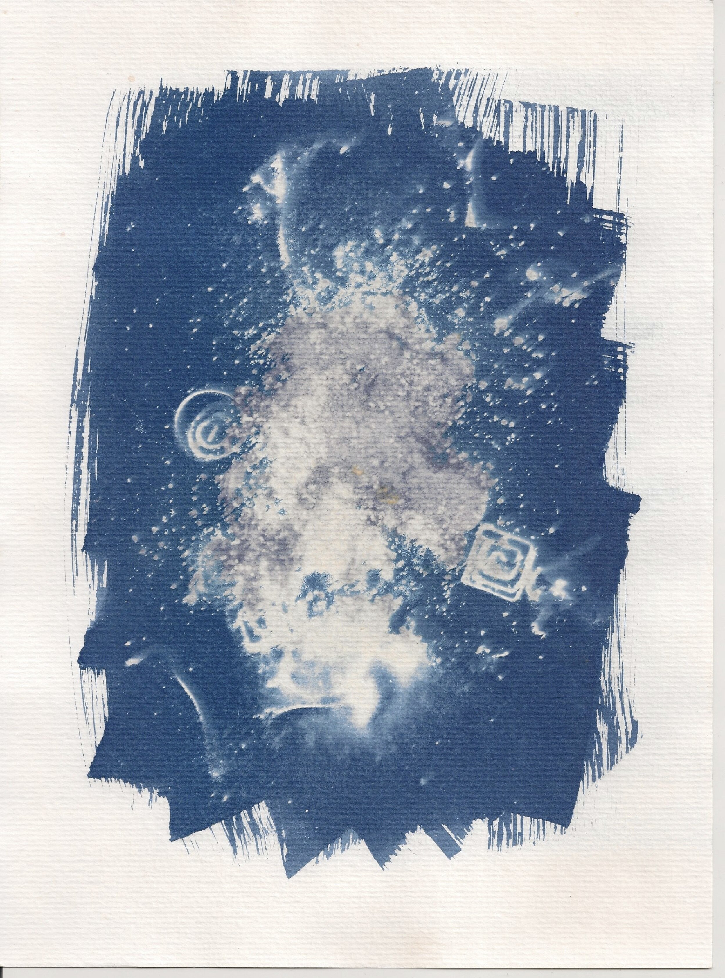 cyanotype #3