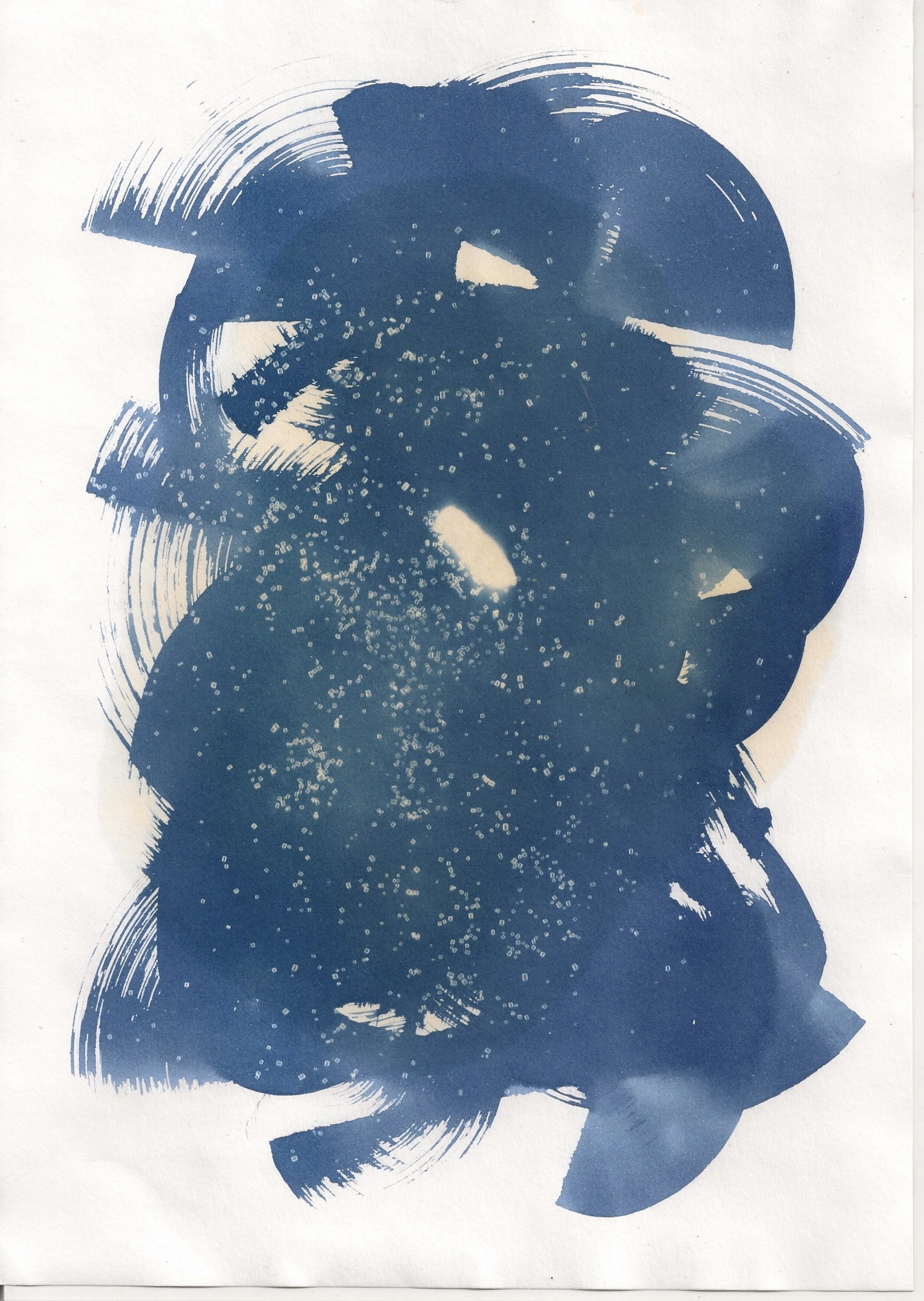 cyanotype #5