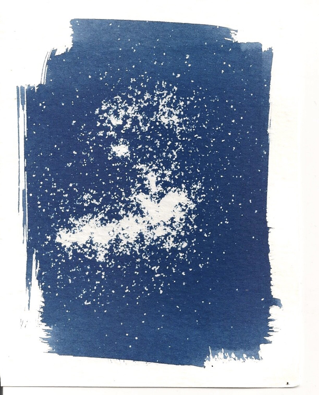 cyanotype #12 (with text)