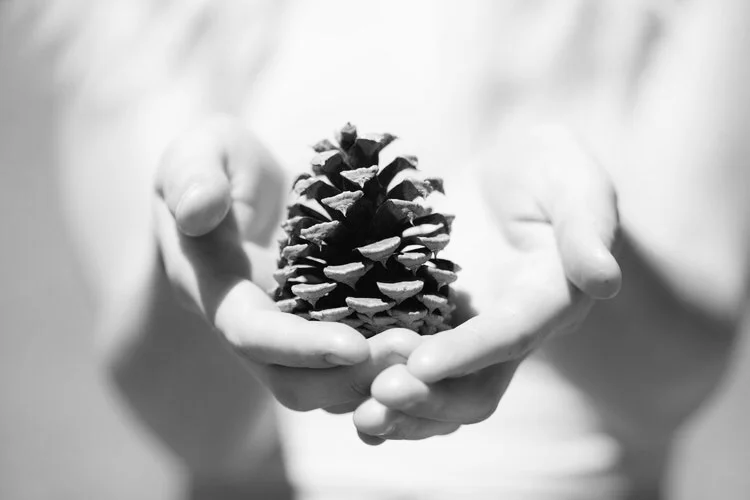 Photo by Sharon McCutcheon on Unsplash