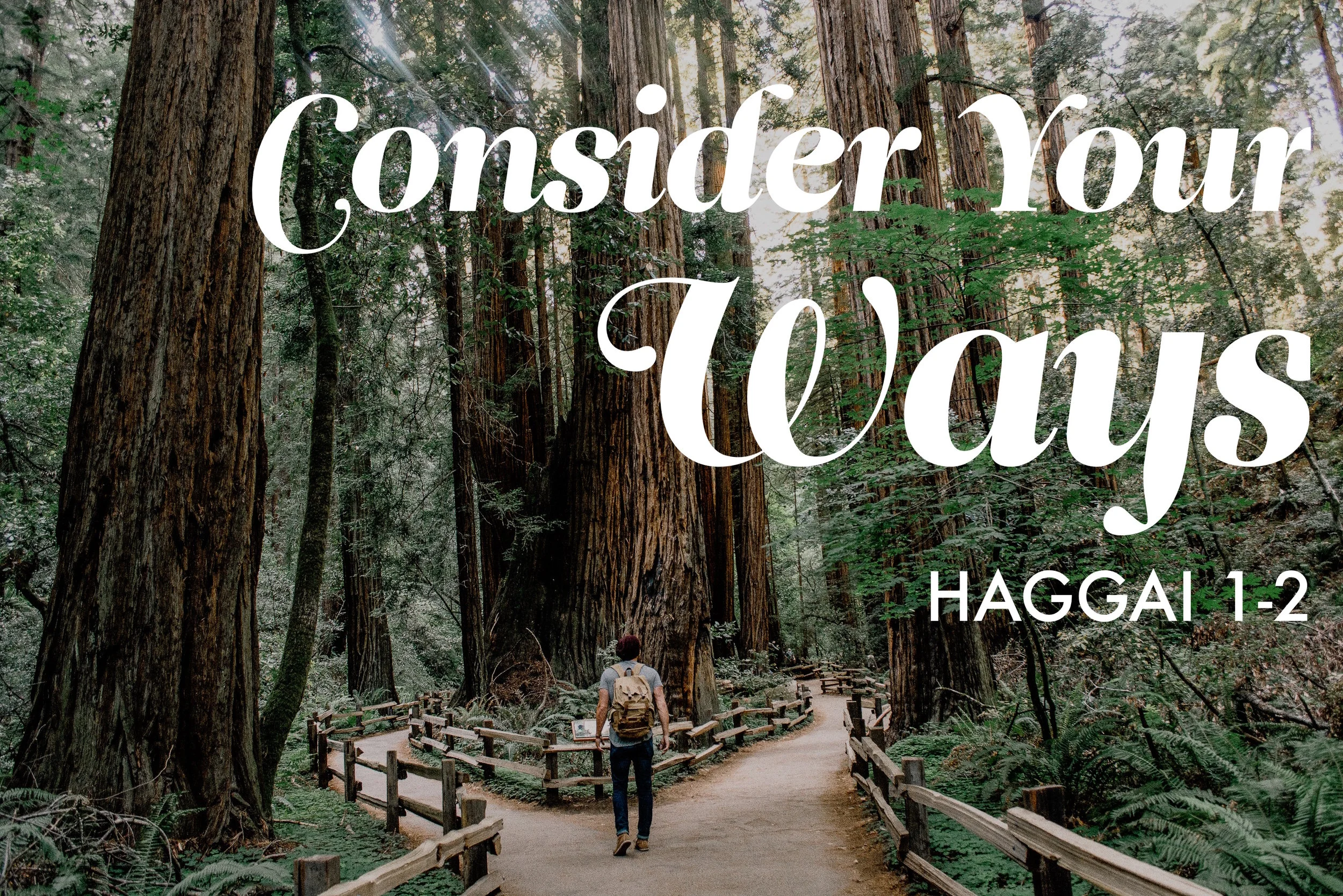 Haggai 1-2 Consider Your Ways.jpg