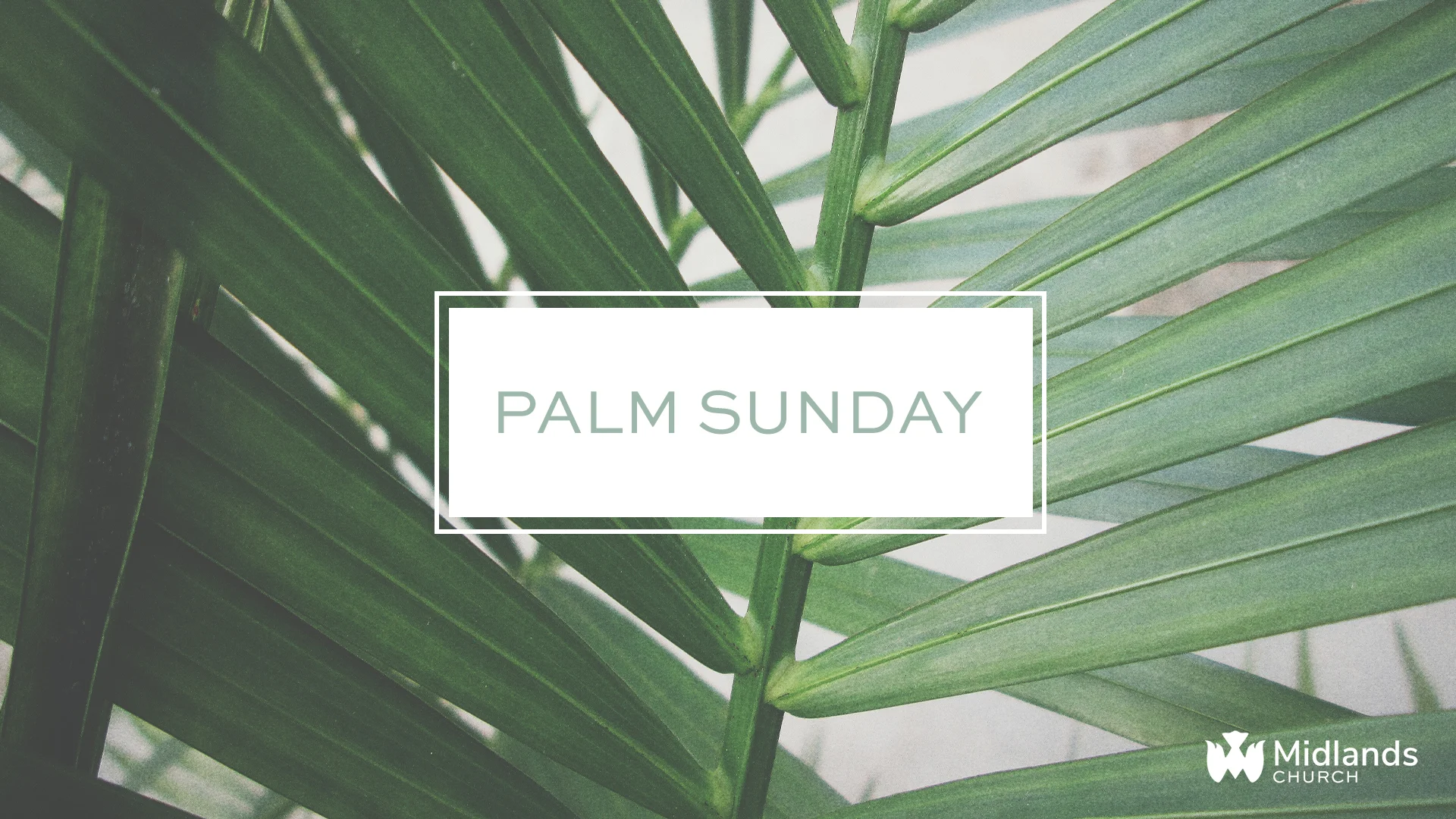 PalmSunday-slide.jpg