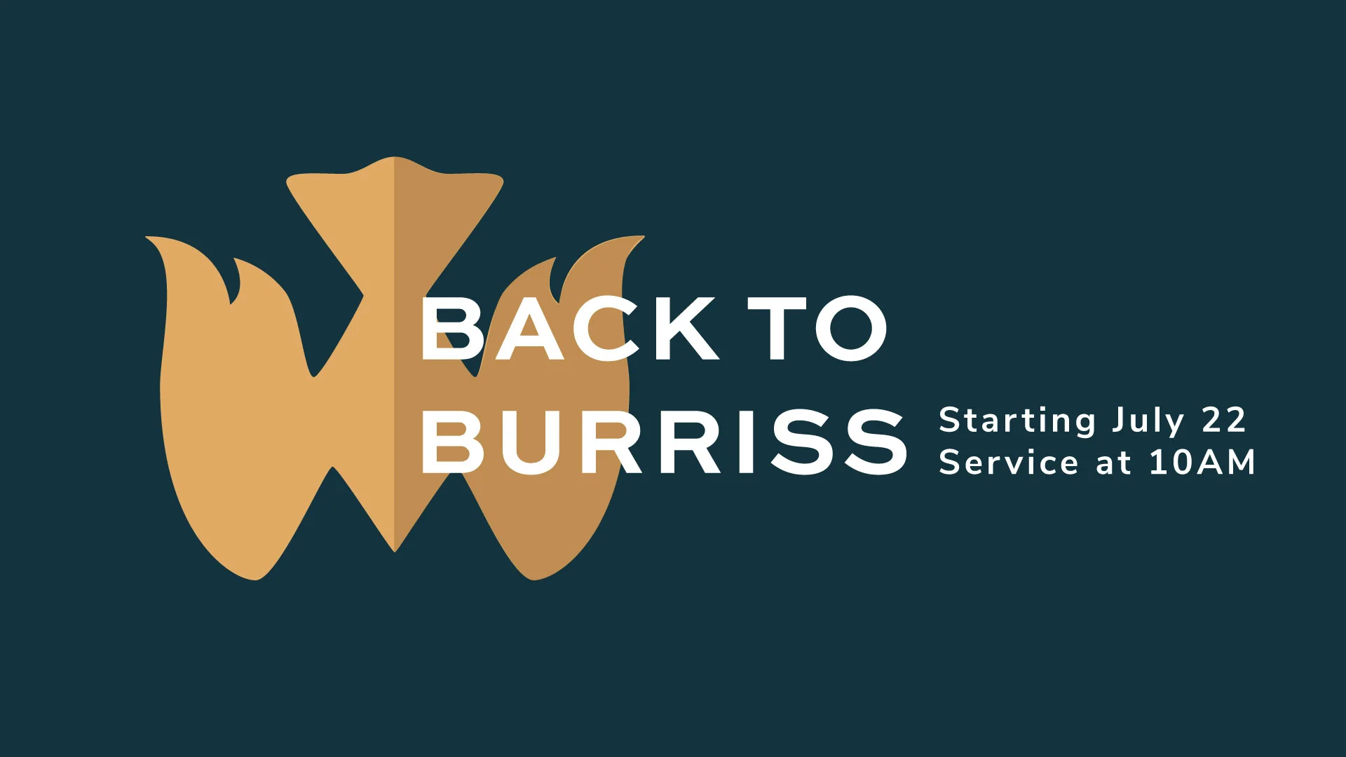 BackToBurriss.jpg