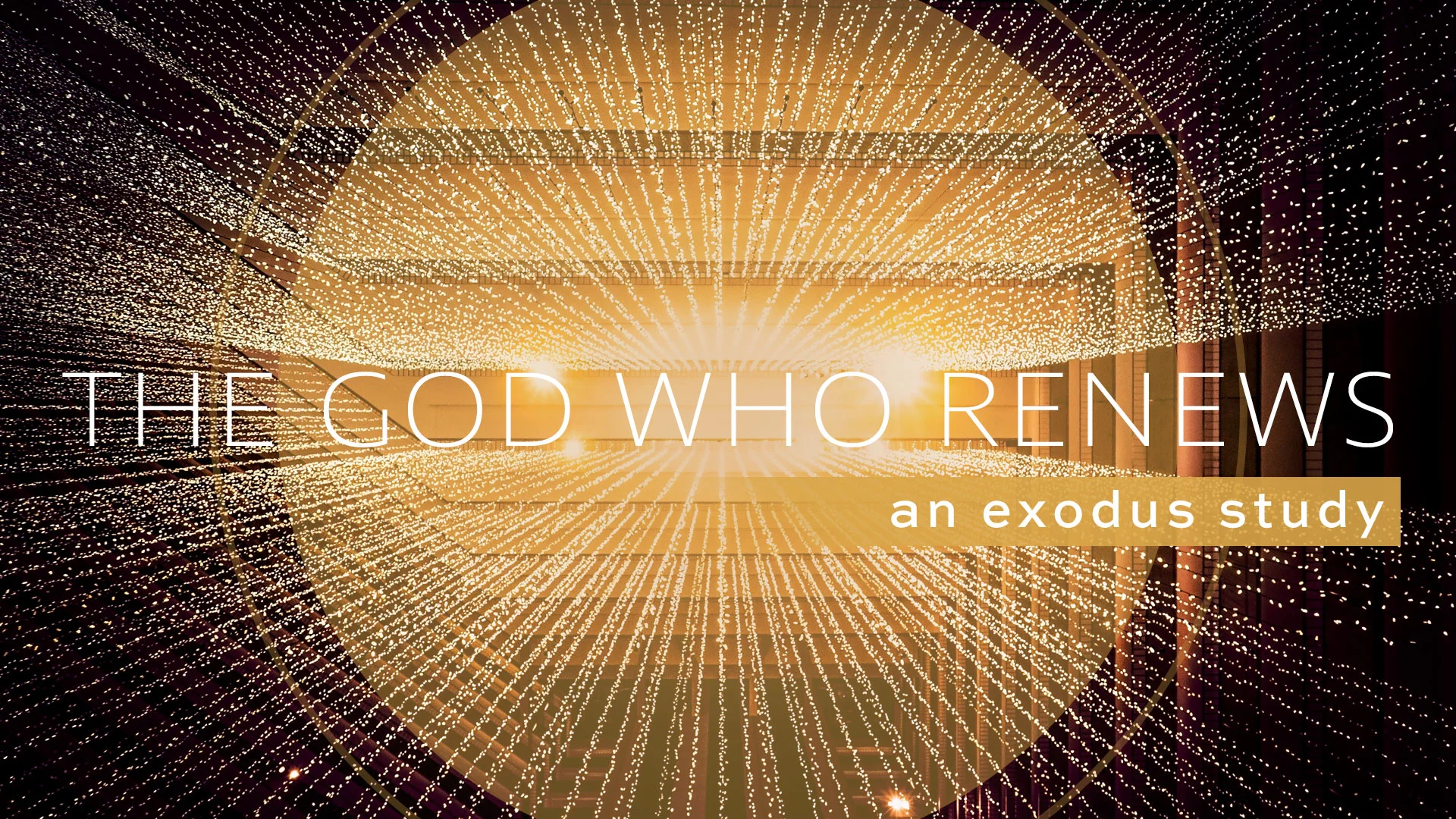 Exodus-GodWhoRenews-title.jpg