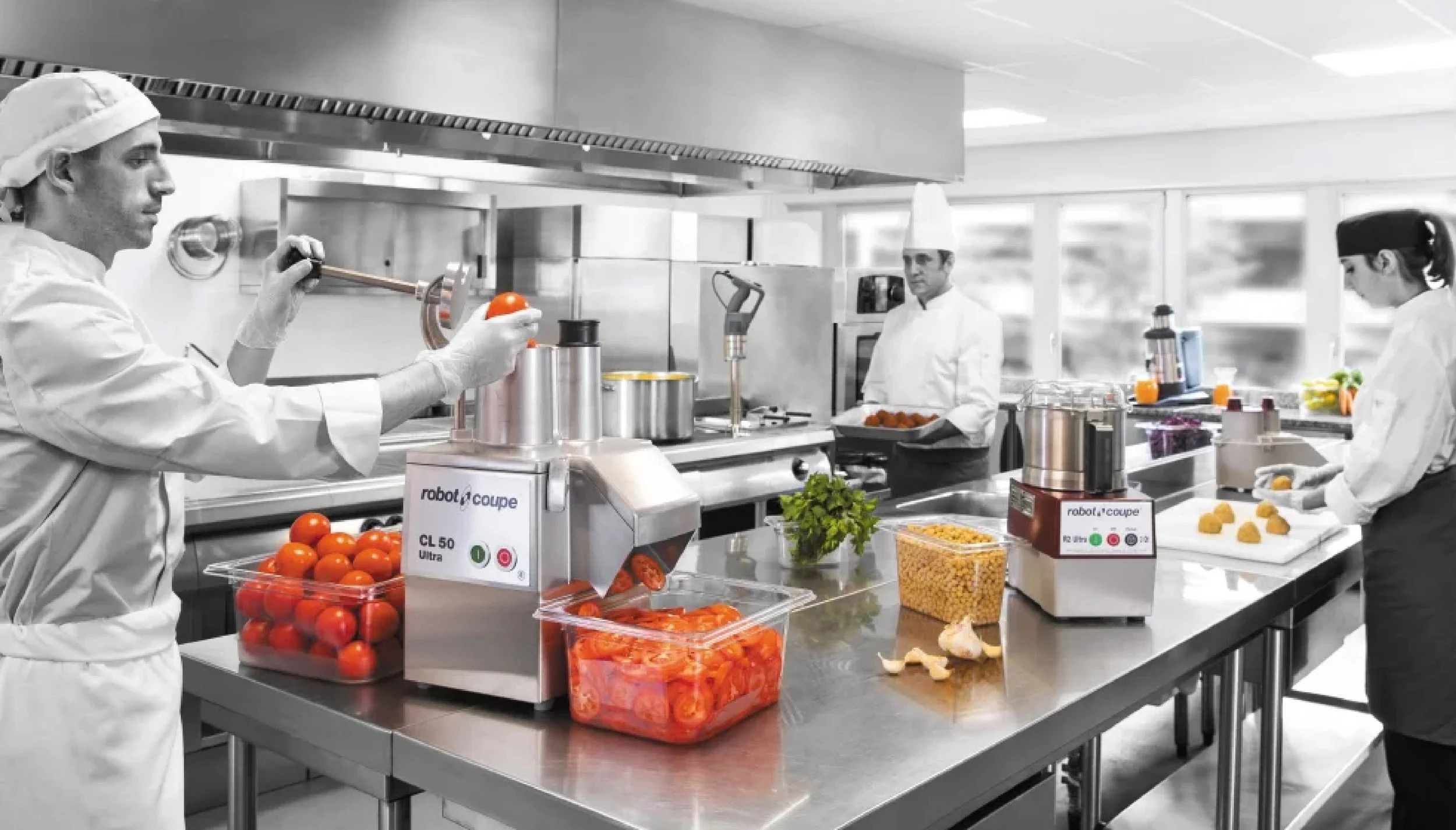 Commercial Food Processors vs. Blenders: Key Differences
