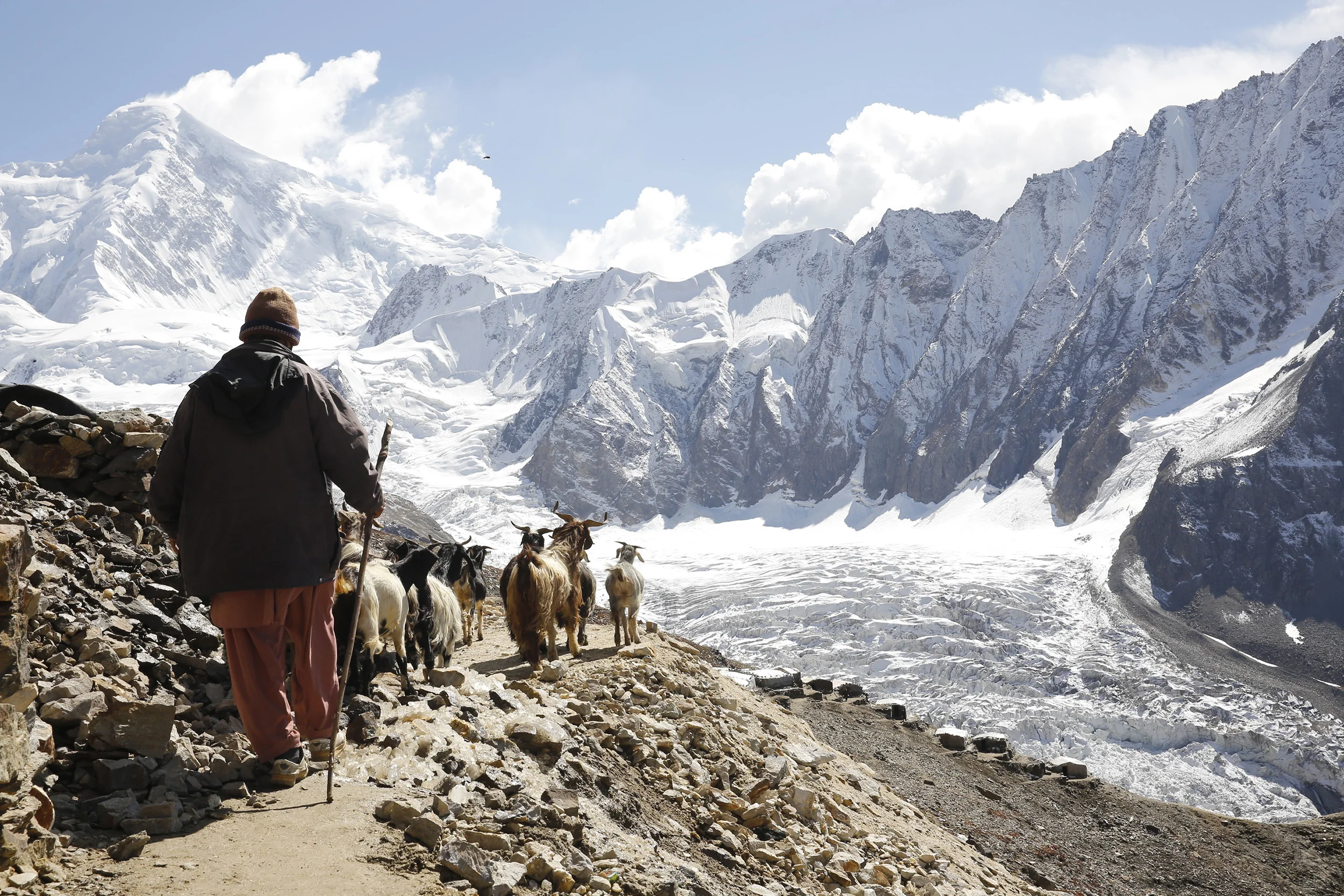 Goat Trader, Karakorum Range, Northern Pakistan, 2015