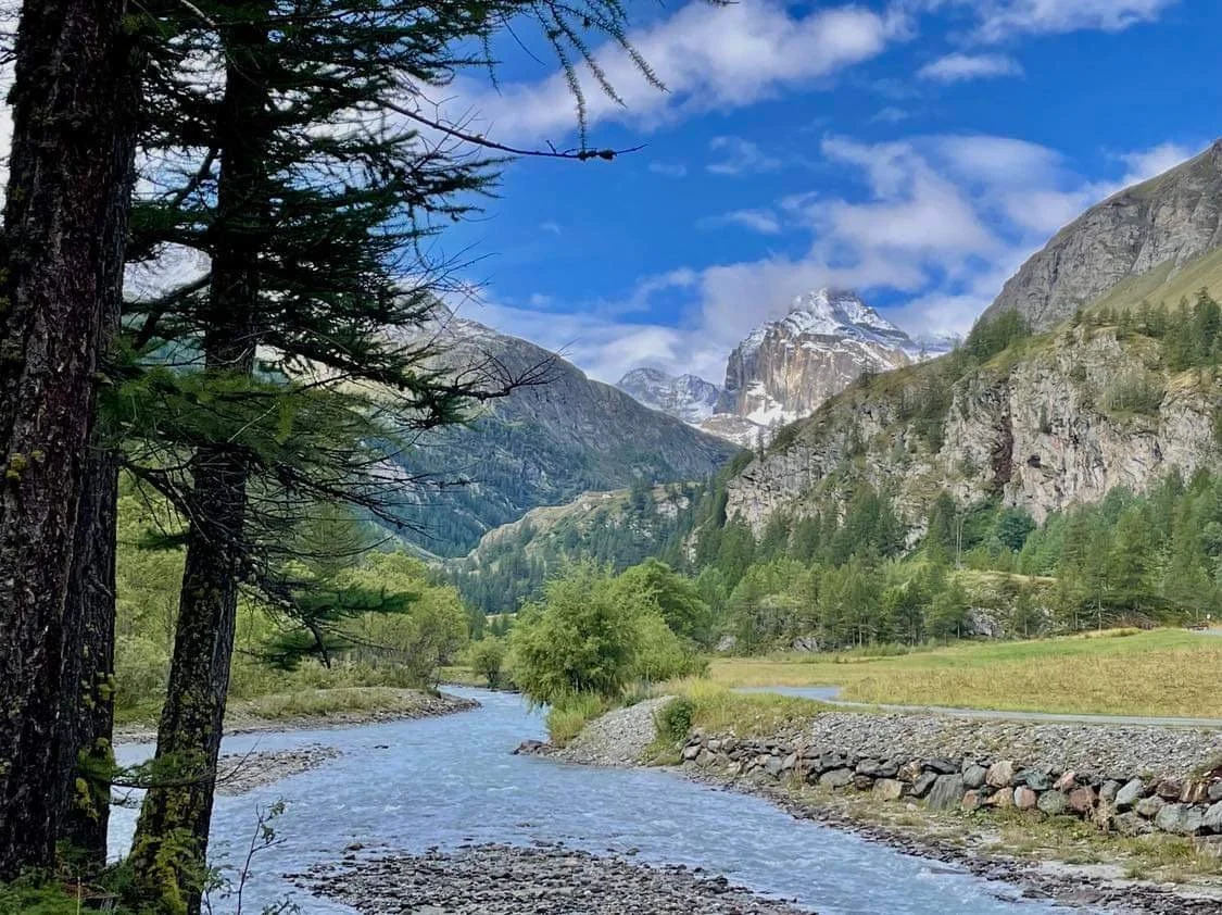 Udsigt og indsigt gennem mindful coaching  - Dag 4