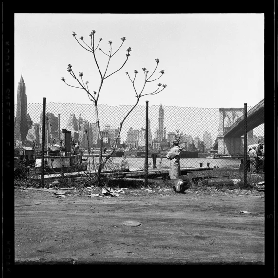 Truman Capote’s Brooklyn