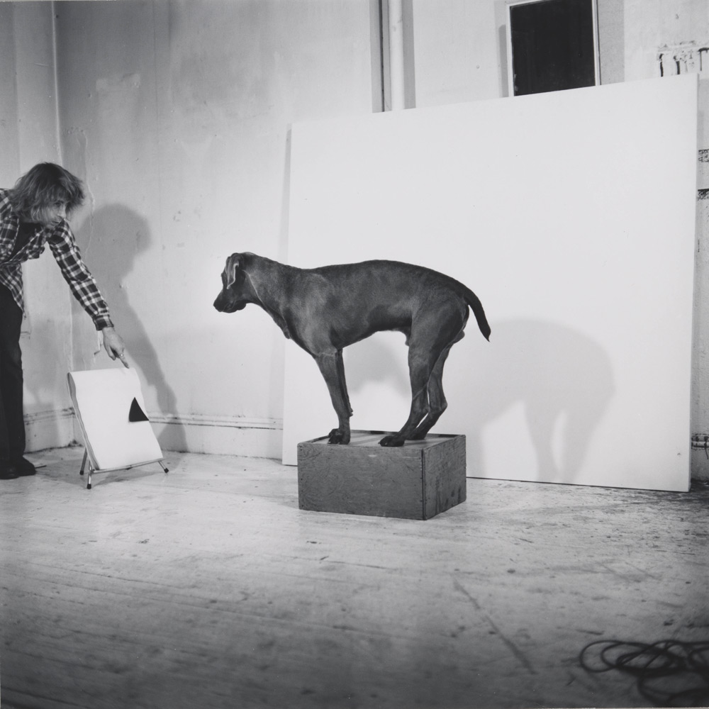 william-wegman-met-museum-02.jpg