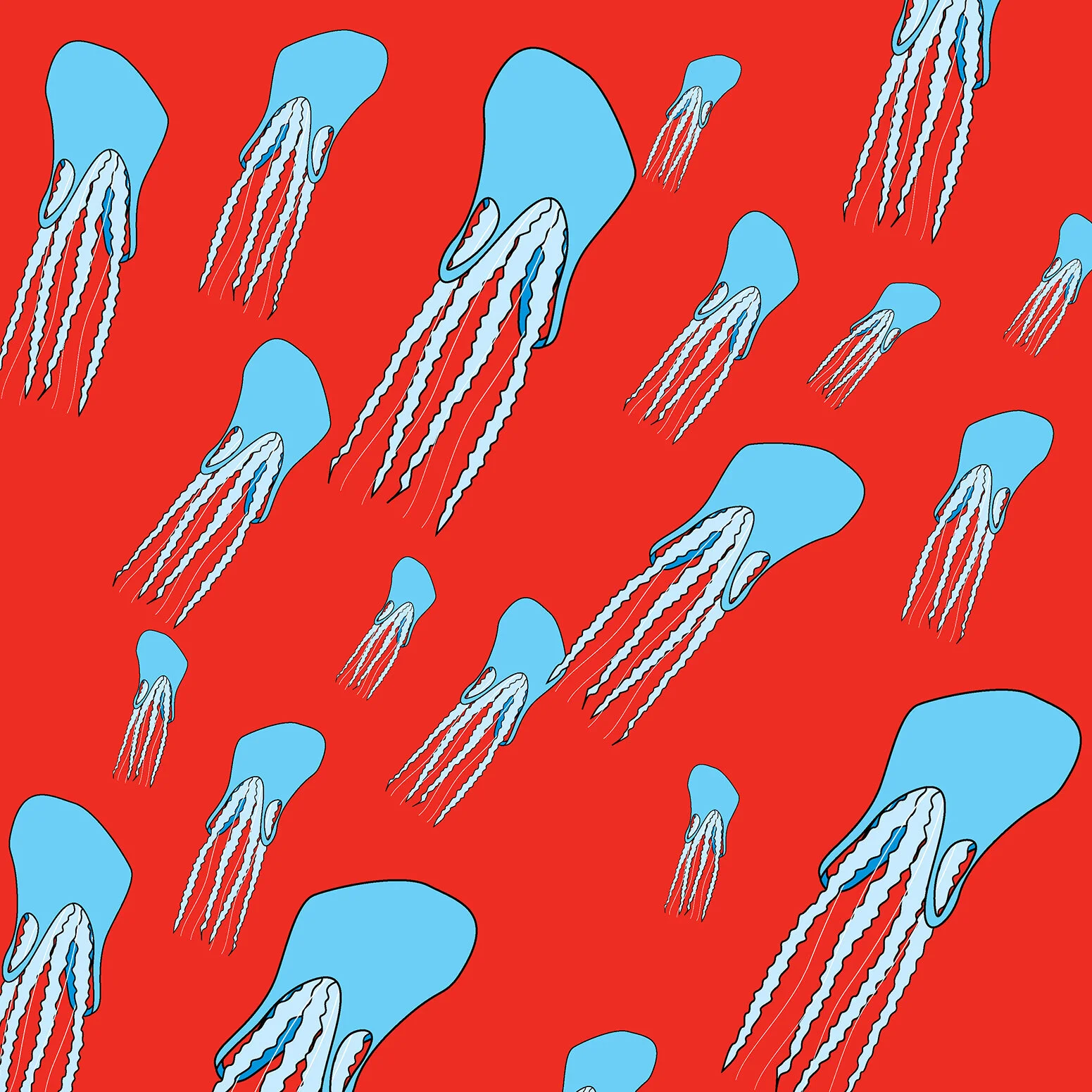 Jelly Bag 1 new crop.jpg